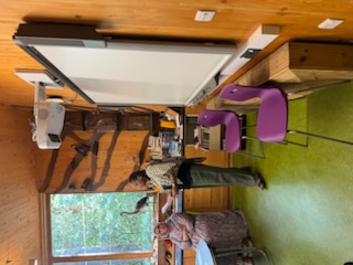A facilitator speaking beside the whiteboard as the group listens in a wood-panelled room.